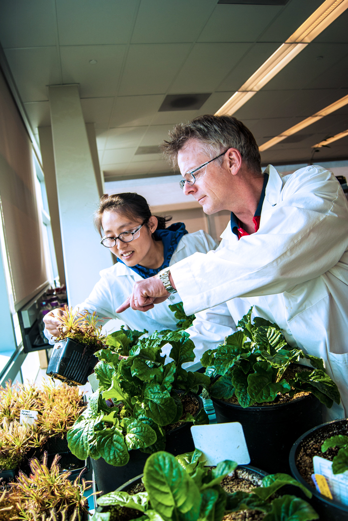 Two researchers looking at plants