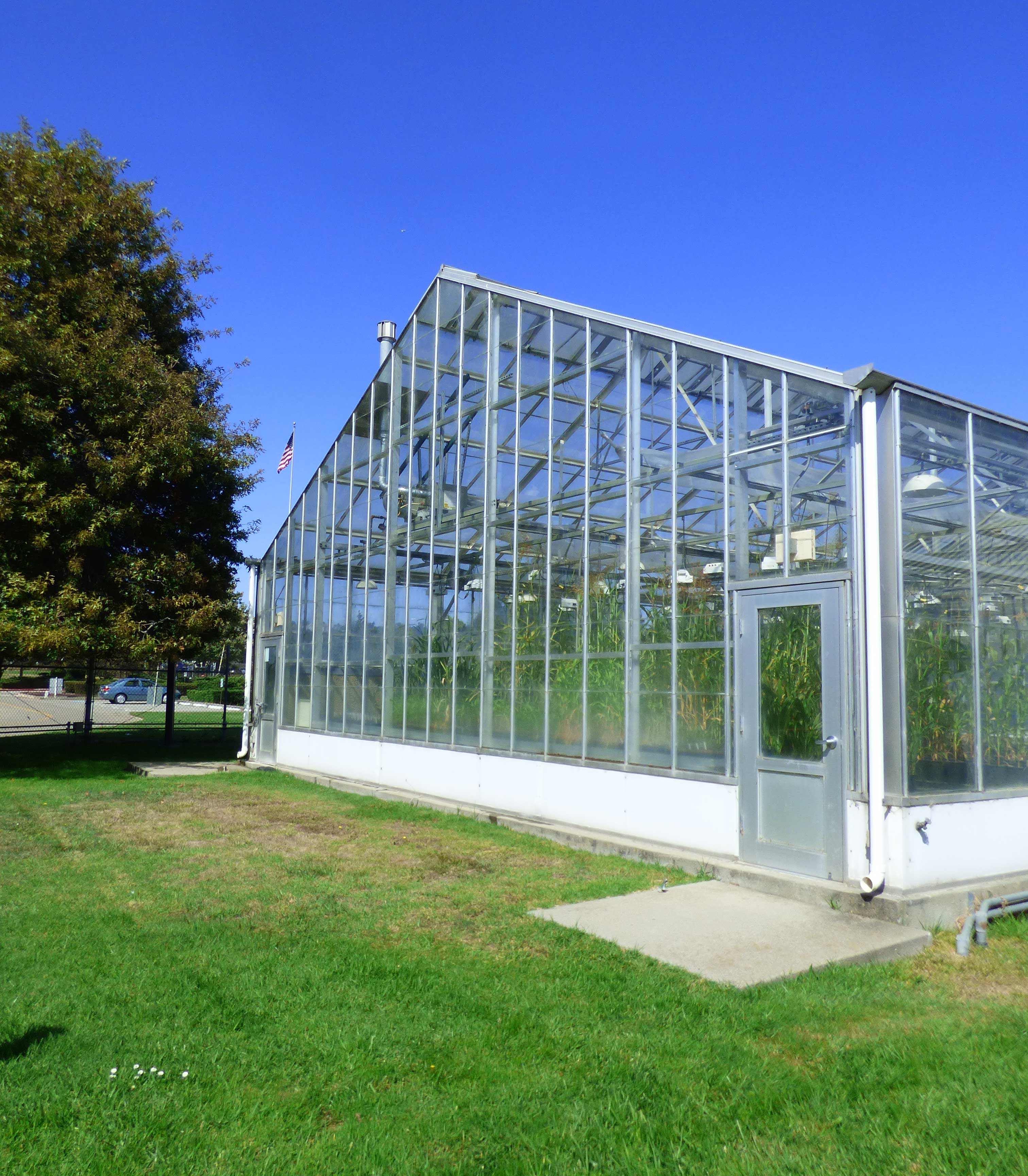 Plant Gene Expression Center greenhouse